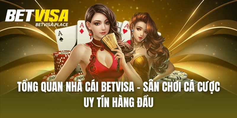 Betvisa 22 Tổng Quan Nhà Cái BETVISA - Sân Chơi Cá Cược Uy Tín Hàng Đầu